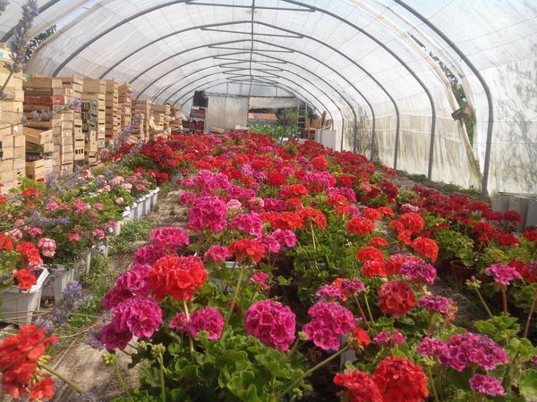 Au Jardin de Fifi | Communauté d'agglomération de Rochefort Océan