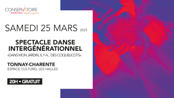 visuel spectacle de danse