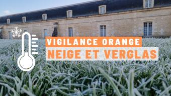 Neige vigilance
