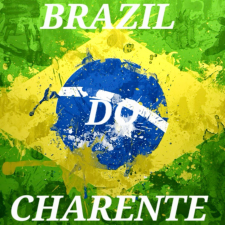 Drapeau brézilien