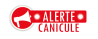 alerte canicule